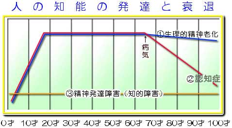 人の知能の発達と衰退